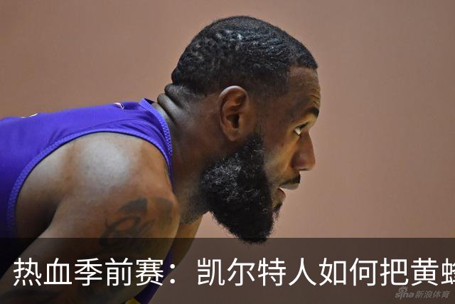 热血季前赛：凯尔特人如何把黄蜂打得“翅膀齐飞
