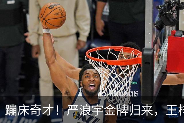 蹦床奇才！严浪宇金牌归来，王梓赛紧随其后