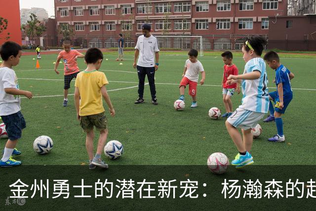 金州勇士的潜在新宠：杨瀚森的超凡魅力