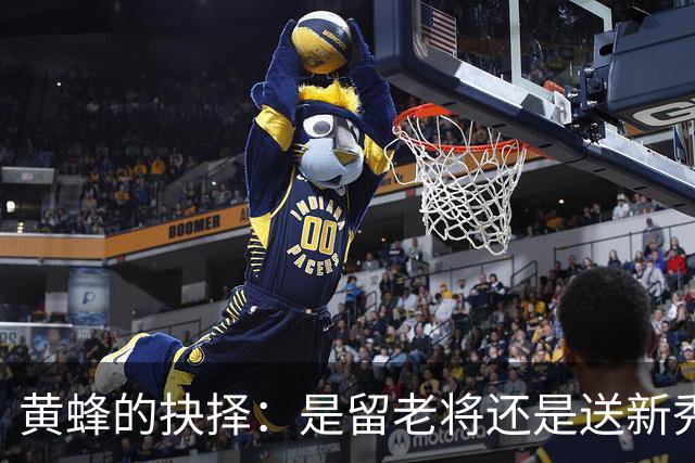 黄蜂的抉择：是留老将还是送新秀下水？
